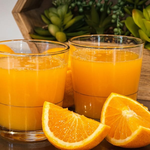 Two glasses of fresh orange juice, whole oranges, and slices, with a succulent planter.